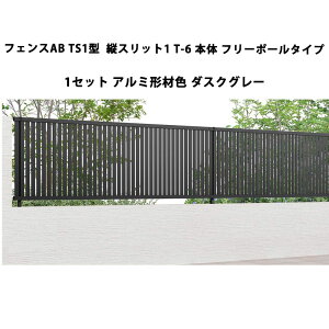 tFX NV LIXIL  Vv  ډB DIYtFXAB TS1^ cXbg1 T-6 { t[|[^Cv 1 A~`ސF _XNO[ 󒍐Yi