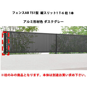 tFX NV LIXIL  Vv  ډB DIYtFXAB TS1^ cXbg1 T-6  1{ A~`ސF _XNO[ 󒍐Yi