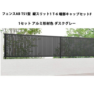 tFX NV LIXIL  Vv  ډB DIYtFXAB TS1^ cXbg1 T-6 [LbvZbgF 1Zbg A~`ސF _XNO[ 󒍐Yi