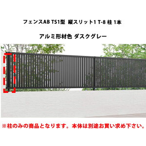 tFX NV LIXIL  Vv  ډB DIYtFXAB TS1^ cXbg1 T-8  1{ A~`ސF _XNO[ 󒍐Yi