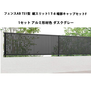 tFX NV LIXIL  Vv  ډB DIYtFXAB TS1^ cXbg1 T-8 [LbvZbgF 1Zbg A~`ސF _XNO[ 󒍐Yi