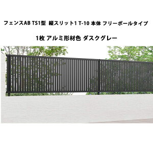 tFX NV LIXIL  Vv  ډB DIYtFXAB TS1^ cXbg1 T-10 { t[|[^Cv 1 A~`ސF _XNO[ 󒍐Yi