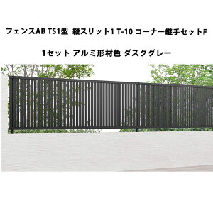 tFX NV LIXIL  Vv  ډB DIYtFXAB TS1^ cXbg1 T-10 R[i[pZbgF 1Zbg A~`ސF _XNO[ 󒍐Yi