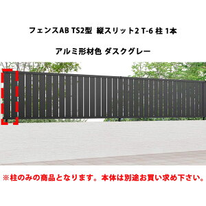 tFX NV LIXIL  Vv  ډB DIYtFXAB TS2^ cXbg2 T-6  1{ A~`ސF _XNO[ 󒍐Yi