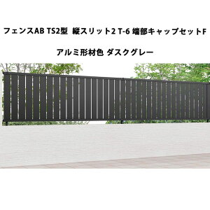 tFX NV LIXIL  Vv  ډB DIYtFXAB TS2^ cXbg2 T-6 [LbvZbgF 1Zbg A~`ސF _XNO[ 󒍐Yi