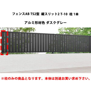 tFX NV LIXIL  Vv  ډB DIYtFXAB TS2^ cXbg2 T-10  1{ A~`ސF _XNO[ 󒍐Yi