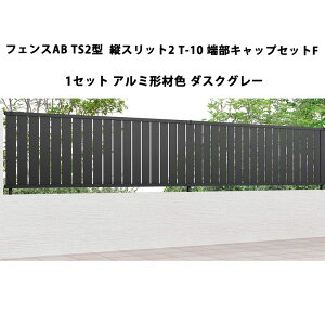 tFX NV LIXIL  Vv  ډB DIYtFXAB TS2^ cXbg2 T-10 [LbvZbgF 1Zbg A~`ސF _XNO[ 󒍐Yi