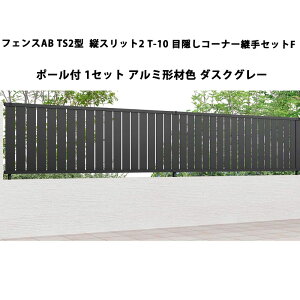 tFX NV LIXIL  Vv  ډB DIYtFXAB TS2^ cXbg2 T-10 ډBR[i[pZbgF |[tE1Zbg A~`ސF _XNO[ 󒍐Yi