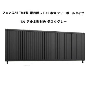 tFX NV LIXIL  Vv  ډB DIYtFXAB TM1^ cډB T-10 { t[|[^Cv 1 _XNO[ 󒍐Yi