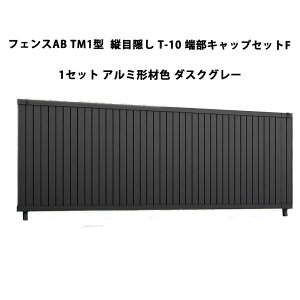 tFX NV LIXIL  Vv  ډB DIYtFXAB TM1^ cډB T-10 [LbvZbgF 1Zbg _XNO[ 󒍐Yi