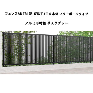 tFX NV LIXIL  Vv  ډB DIYtFXAB TR1^ ciq1 T-6 { t[|[^Cv _XNO[ 󒍐Yi