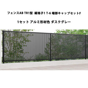 tFX NV LIXIL  Vv  ډB DIYtFXAB TR1^ ciq1 T-6 [LbvZbgF 1Zbg _XNO[ 󒍐Yi