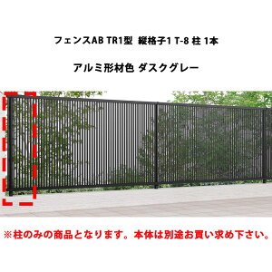 tFX NV LIXIL  Vv  ډB DIYtFXAB TR1^ ciq1 T-8  1{ _XNO[ 󒍐Yi