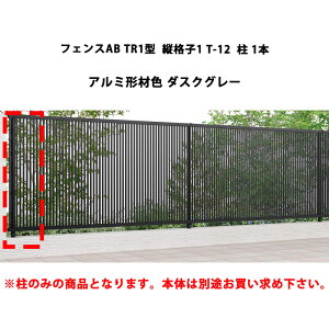 tFX NV LIXIL  Vv  ډB DIYtFXAB TR1^ ciq1 T-12  1{ _XNO[ 󒍐Yi