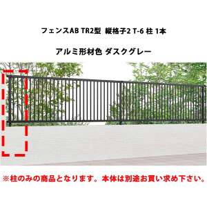 tFX NV LIXIL  Vv  ډB DIYtFXAB TR2^ ciq2 T-6  1{ _XNO[ 󒍐Yi