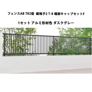 tFX NV LIXIL  Vv  ډB DIYtFXAB TR2^ ciq2 T-8 [LbvZbgF 1Zbg _XNO[ 󒍐Yi