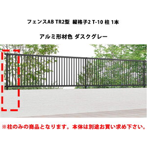 tFX NV LIXIL  Vv  ډB DIYtFXAB TR2^ ciq2 T-10  1{ _XNO[ 󒍐Yi