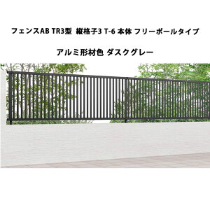 tFX NV LIXIL  Vv  ډB DIYtFXAB TR3^ ciq3 T-6 { t[|[^Cv 1 _XNO[ 󒍐Yi