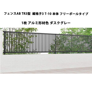 tFX NV LIXIL  Vv  ډB DIYtFXAB TR3^ ciq3 T-10 { t[|[^Cv 1 _XNO[ 󒍐Yi