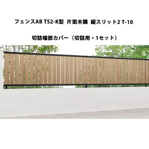 tFX NV LIXIL  Vv  ډB DIYtFXAB TS2-K^ Жʖؒ cXbg2 T-10 ؋l[Jo[i؋lpE1Zbgj