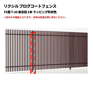 NV vOR[gtFX F1^ T-20 ݒ 1{ bsO`ސF