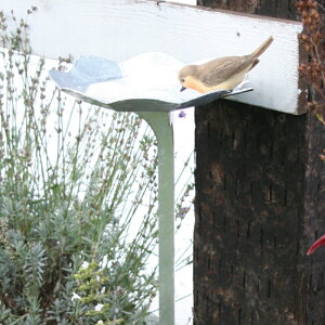 I[ K[fACe o[hoX RT3-TN017