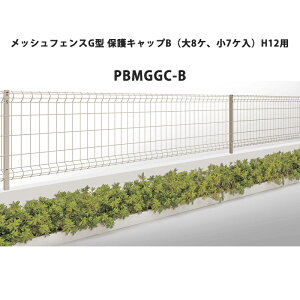 �l������ ���b�V���t�F���X G�^ �ی�L���b�vB�i��8�P�A��7�P���jH12�p PBMGGC-B