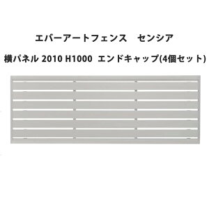 ^JV[ Go[A[gtFX ZVA pl 2010 H1000 GhLbv(4Zbg)