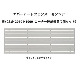 ^JV[ Go[A[gtFX ZVA pl 2010 H1000 R[i[Ai(2Zbg)