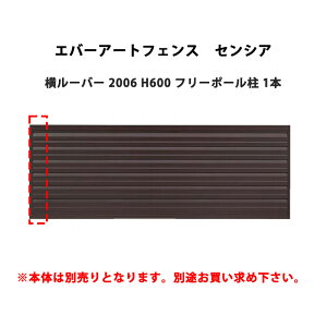 ^JV[ Go[A[gtFX ZVA [o[ 2006 H600 t[|[ 1{