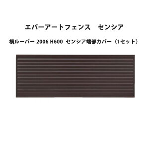 ^JV[ Go[A[gtFX ZVA [o[ 2006 H600 ZVA[Jo[i1Zbgj