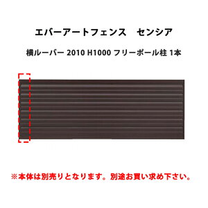 ^JV[ Go[A[gtFX ZVA [o[ 2010 H1000 t[|[ 1{