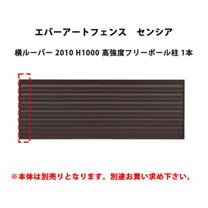 ^JV[ Go[A[gtFX ZVA [o[ 2010 H1000 xt[|[ 1{