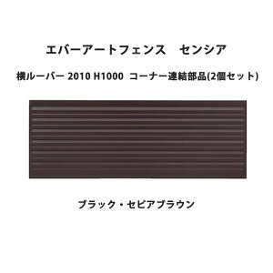 ^JV[ Go[A[gtFX ZVA [o[ 2010 H1000 R[i[Ai(2Zbg)