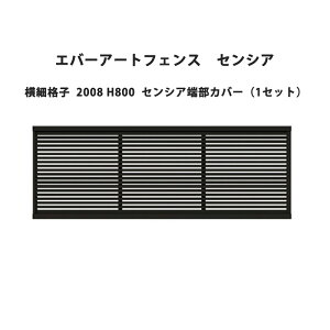 ^JV[ Go[A[gtFX ZVA ׊iq 2008 H800 ZVA[Jo[i1Zbgj