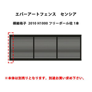 ^JV[ Go[A[gtFX ZVA ׊iq 2010 H1000 t[|[ 1{