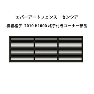 ^JV[ Go[A[gtFX ZVA ׊iq 2010 H1000 iqtR[i[i