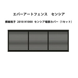 ^JV[ Go[A[gtFX ZVA ׊iq 2010 H1000 ZVA[Jo[i1Zbgj