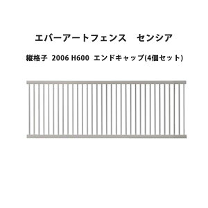 ^JV[ Go[A[gtFX ZVA ciq 2006 H600 GhLbv(4Zbg)