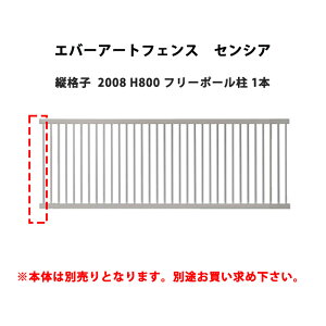 ^JV[ Go[A[gtFX ZVA ciq 2008 H800 t[|[ 1{