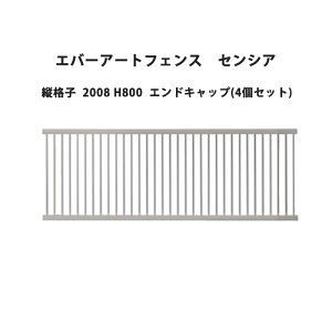 ^JV[ Go[A[gtFX ZVA ciq 2008 H800 GhLbv(4Zbg)