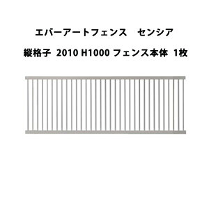 ^JV[ Go[A[gtFX ZVA ciq 2010 H1000 tFX{ 1