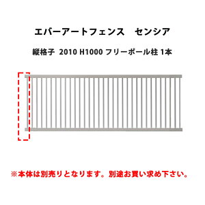 ^JV[ Go[A[gtFX ZVA ciq 2010 H1000 t[|[ 1{