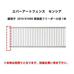 ^JV[ Go[A[gtFX ZVA ciq 2010 H1000 xt[|[ 1{