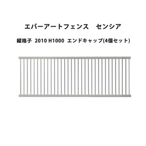 ^JV[ Go[A[gtFX ZVA ciq 2010 H1000 GhLbv(4Zbg)