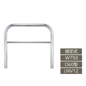 ԏ |[ NV LIXIL Xy[XK[hyXy[XK[h D60^ Œ莮 750 W×800 H XeX LNV12 ^Cvz