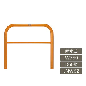 ���ԏ� �|�[�� ���N�V�� LIXIL �X�y�[�X�K�[�h�y�X�y�[�X�K�[�h D60�^ �Œ莮 750 W×800 H �� �X�`�[�� LNW62 ���^�C�v�z