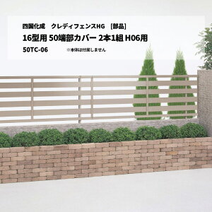 [î]l NfBtFXHG 16^p 50[Jo[ 2{1g H06p 50TC-06