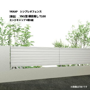 YKKAP �V���v���I�t�F���X YM1�^ ���ډB�� T100 �G���h�L���b�v 4��1�g [���i�̂�]