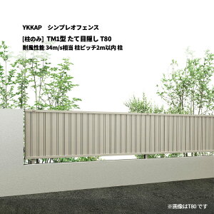 YKKAP �V���v���I�t�F���X TM1�^ ���ĖډB�� T80 �ϕ����\ 34m/s���� ���s�b�`2m�ȓ� �� [���̂�]